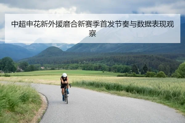 中超申花新外援磨合新赛季首发节奏与数据表现观察